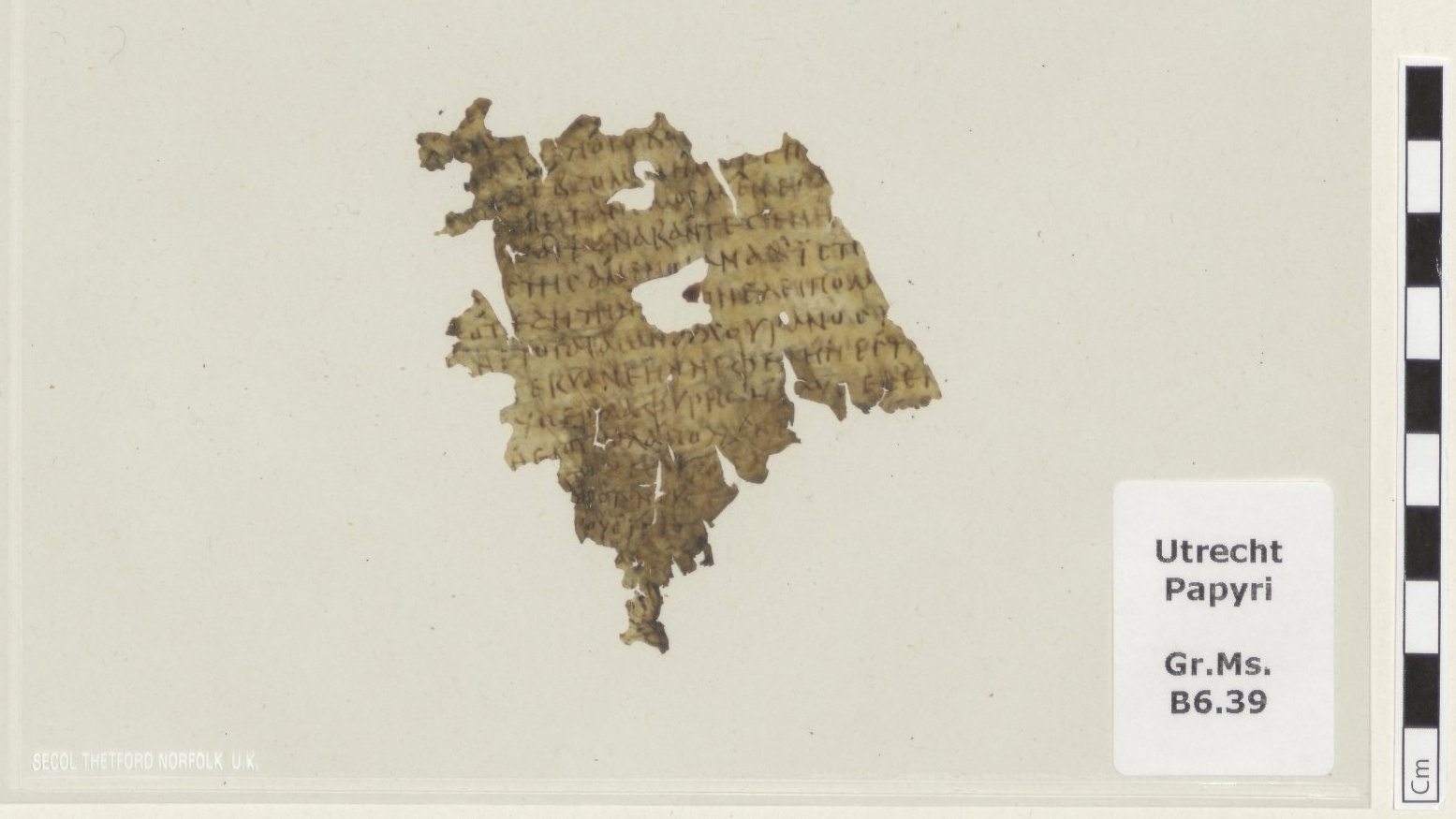 1,700-Year-Old Odyssey Fragment Found in Dutch Library Book
