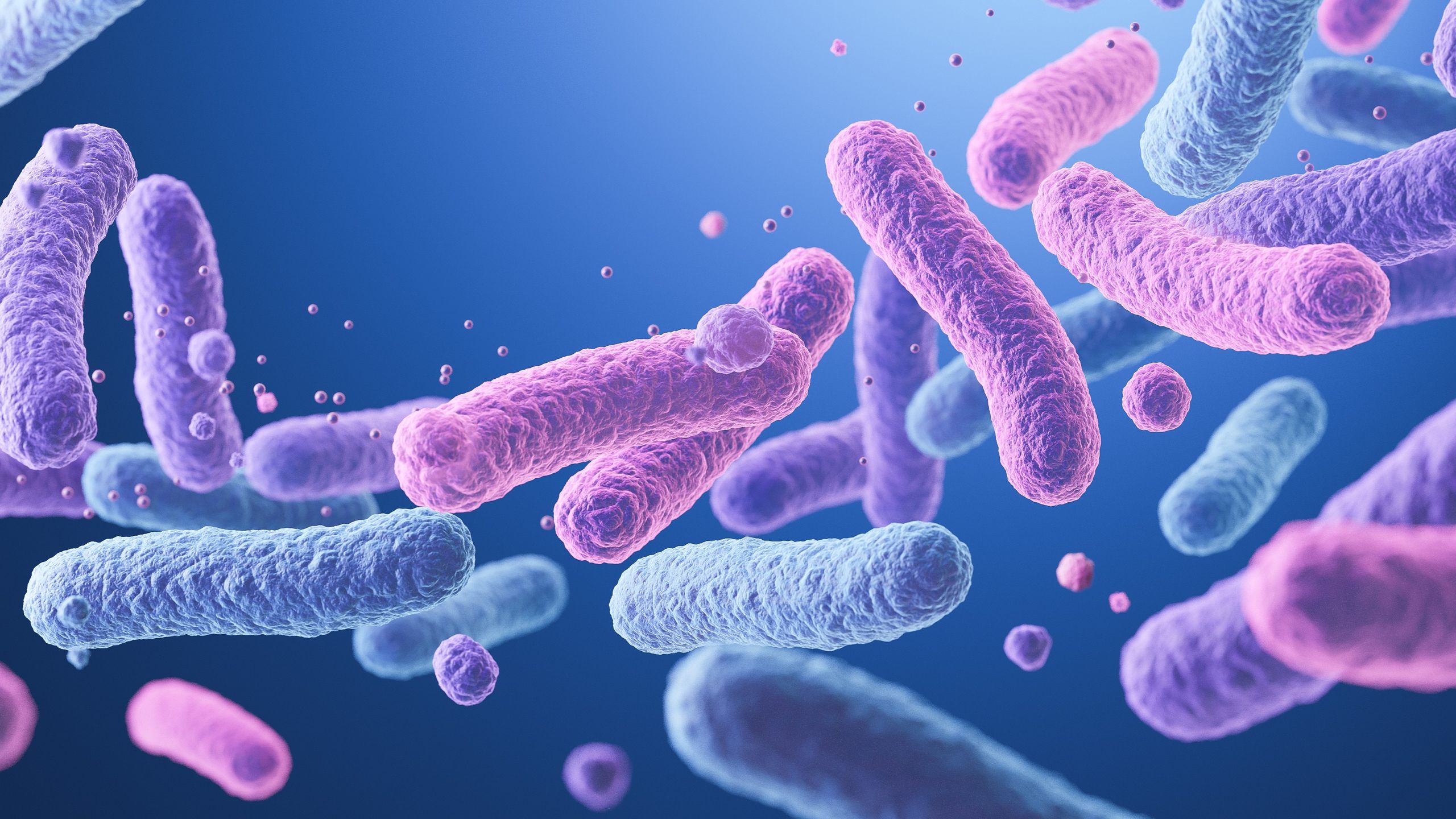Bacterial Postbiotic May Help Preserve Fertility in the Aging Uterus