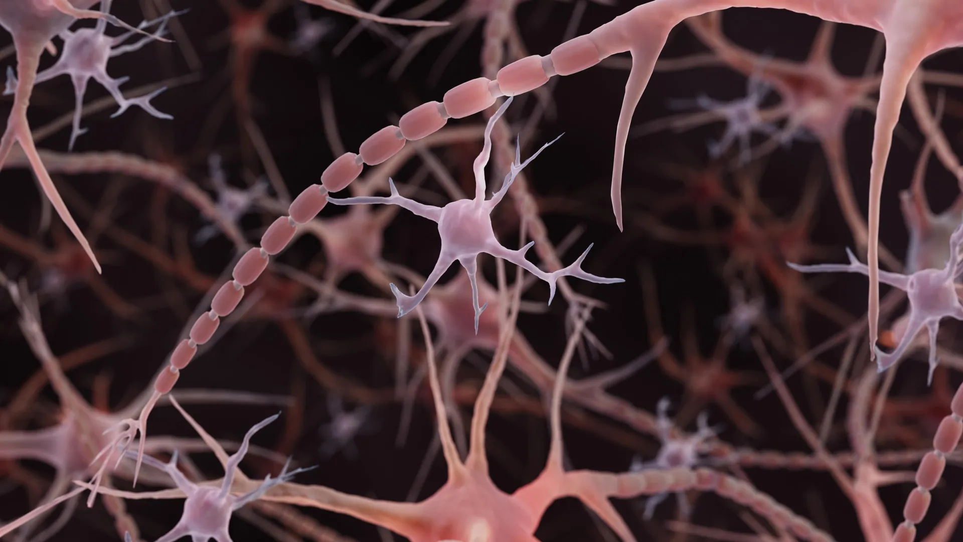 Brain Axons Have a Beaded Shape That Influences Signaling