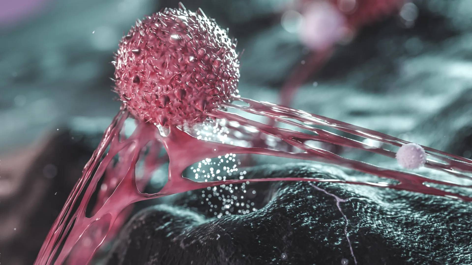Breast Tumor Map Reveals Hidden Dormant Cells That Survive Treatment