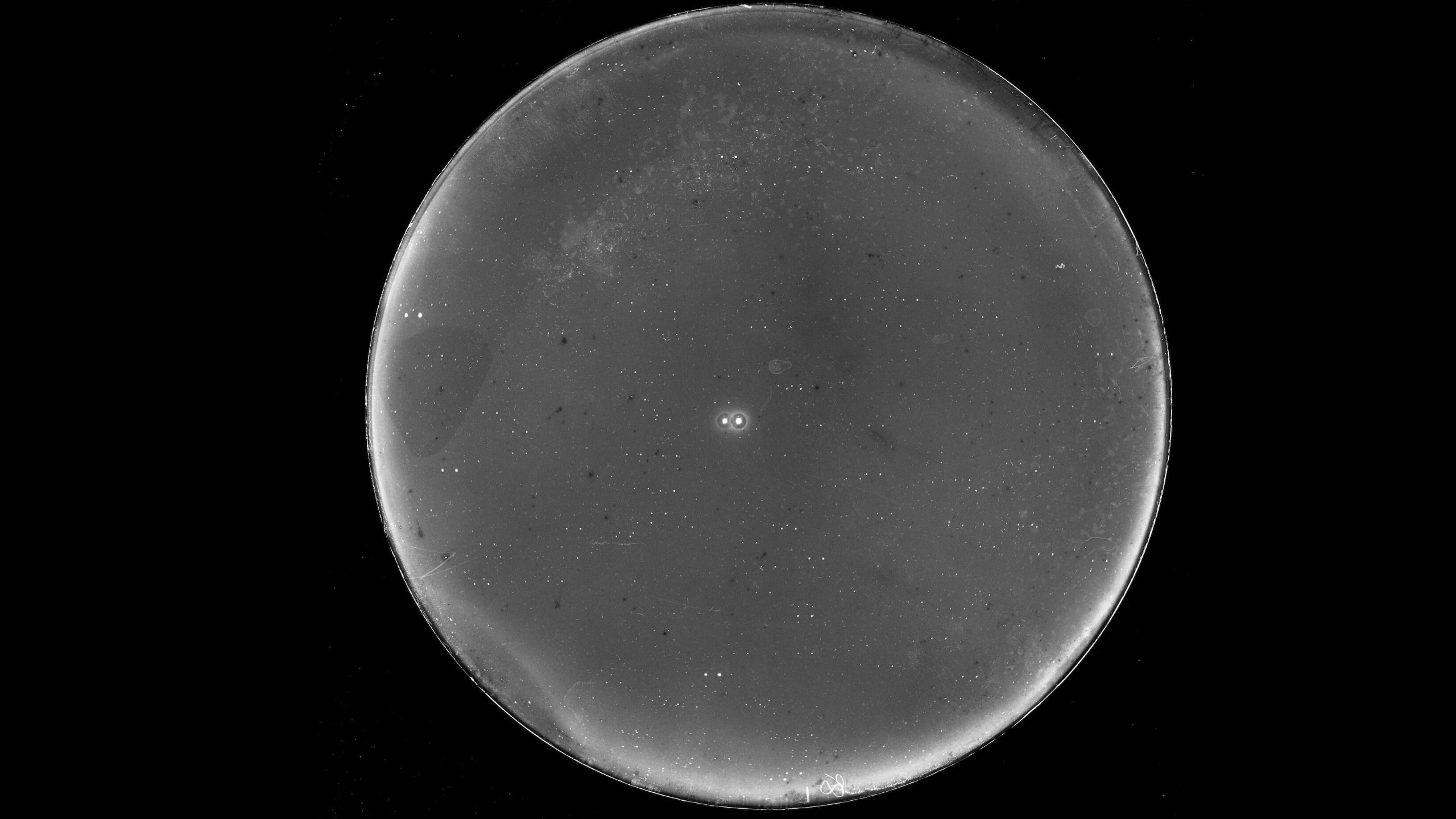Earth-Sized Planet Could Be Habitable in Nearby Binary Star System