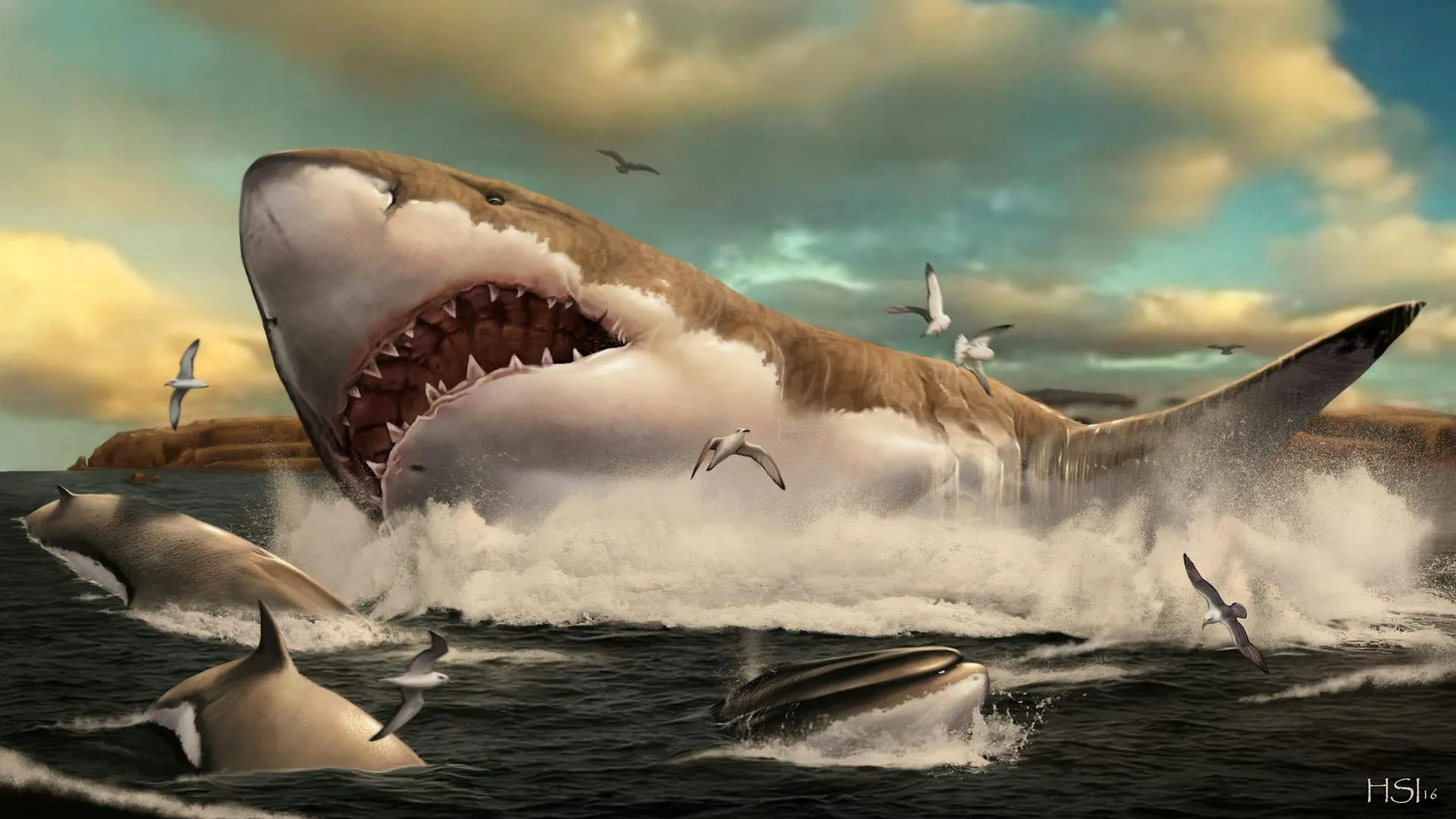 Lost Megalodon Vertebrae Rediscovered on a Museum Shelf