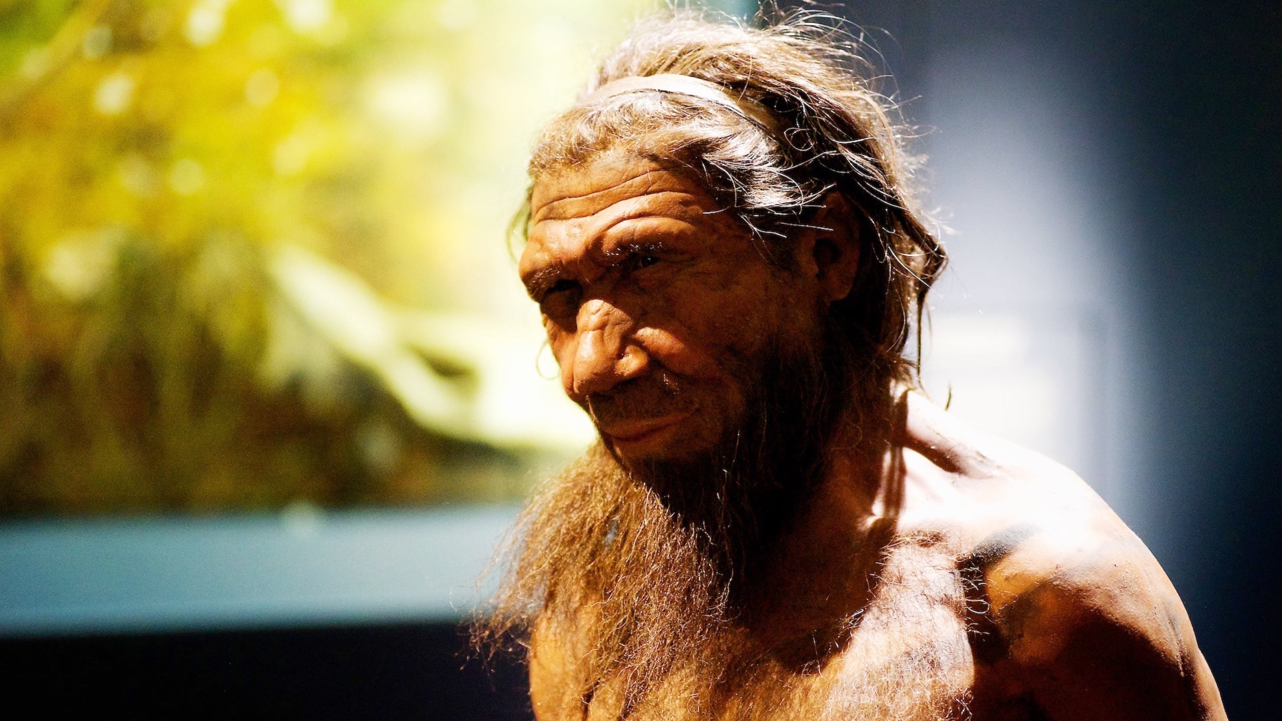 Neanderthals Were Skilled Woodworkers, Unprecedented Evidence Reveals