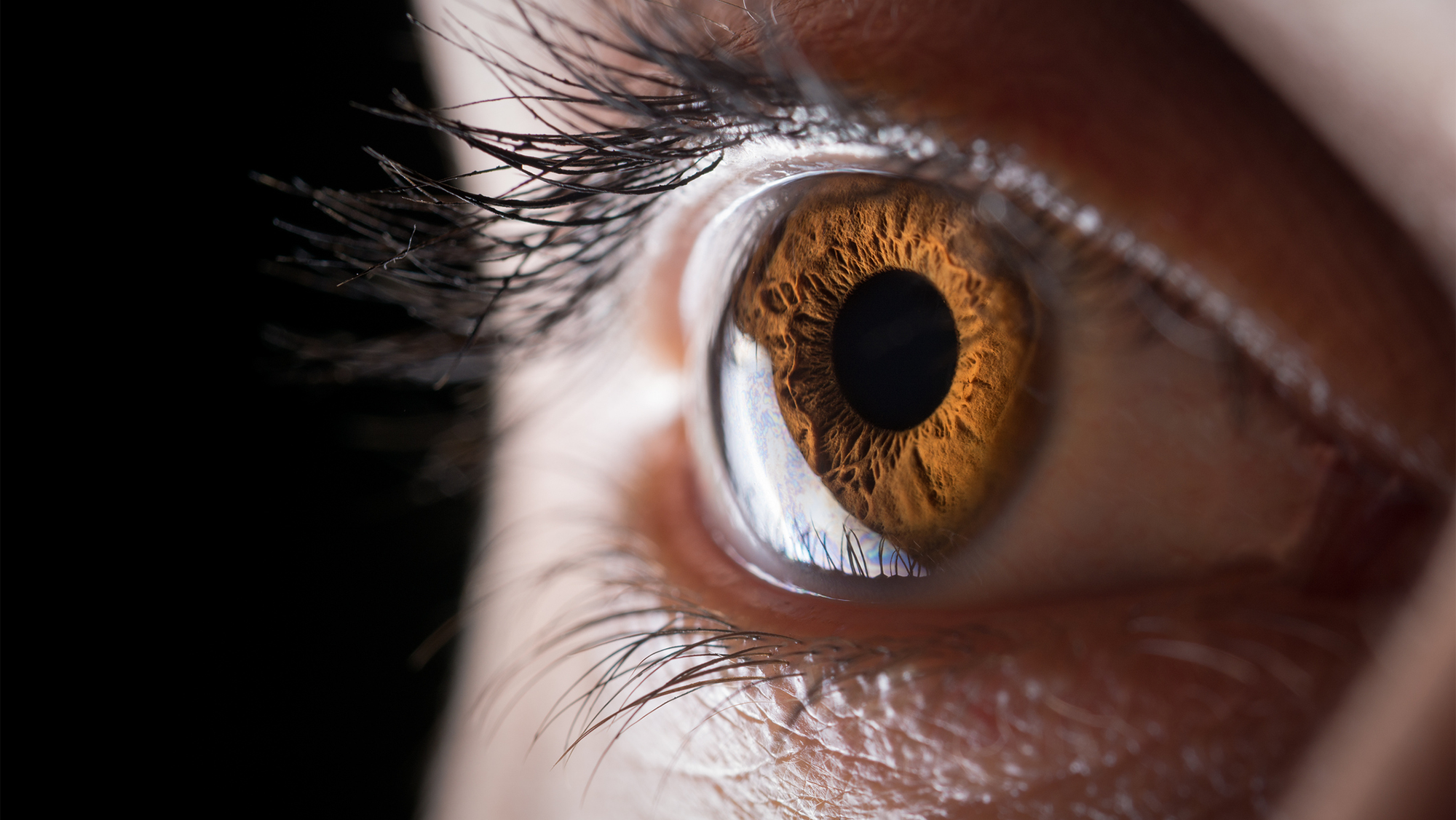 Scientists Are 3D Printing Corneas to Restore Vision