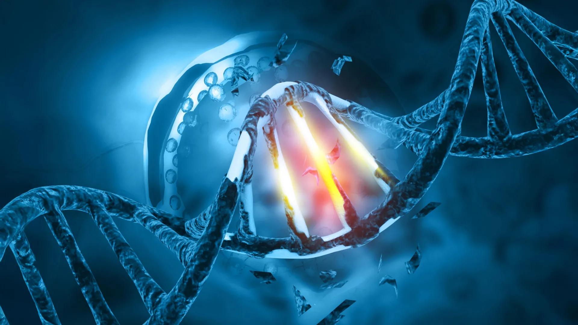Sucralose Safety: What the DNA Damage Research Actually Shows